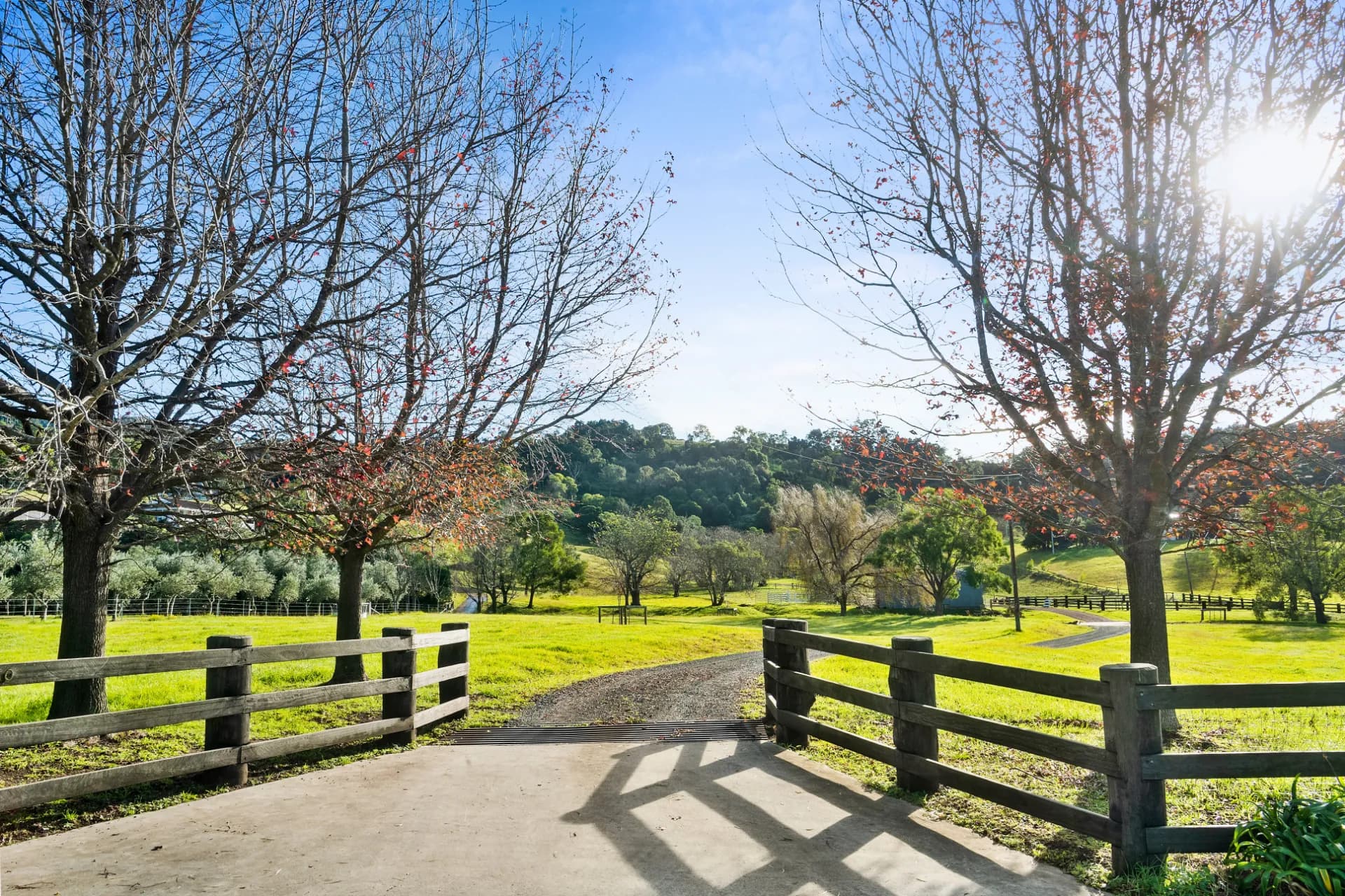 110 Devitts  Lane, Meroo Meadow, NSW, Meroo Meadow - Thumbnail 2