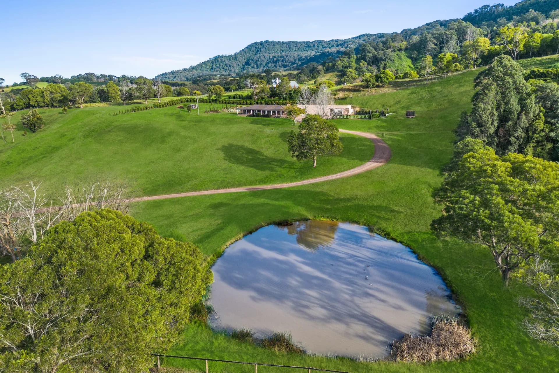 110 Devitts  Lane, Meroo Meadow, NSW, Meroo Meadow - Thumbnail 4