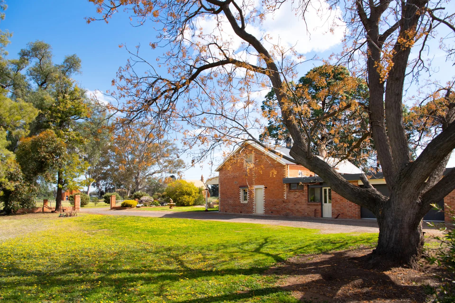 79 Lyons Street, Newbridge, VIC, Newbridge - Thumbnail 4
