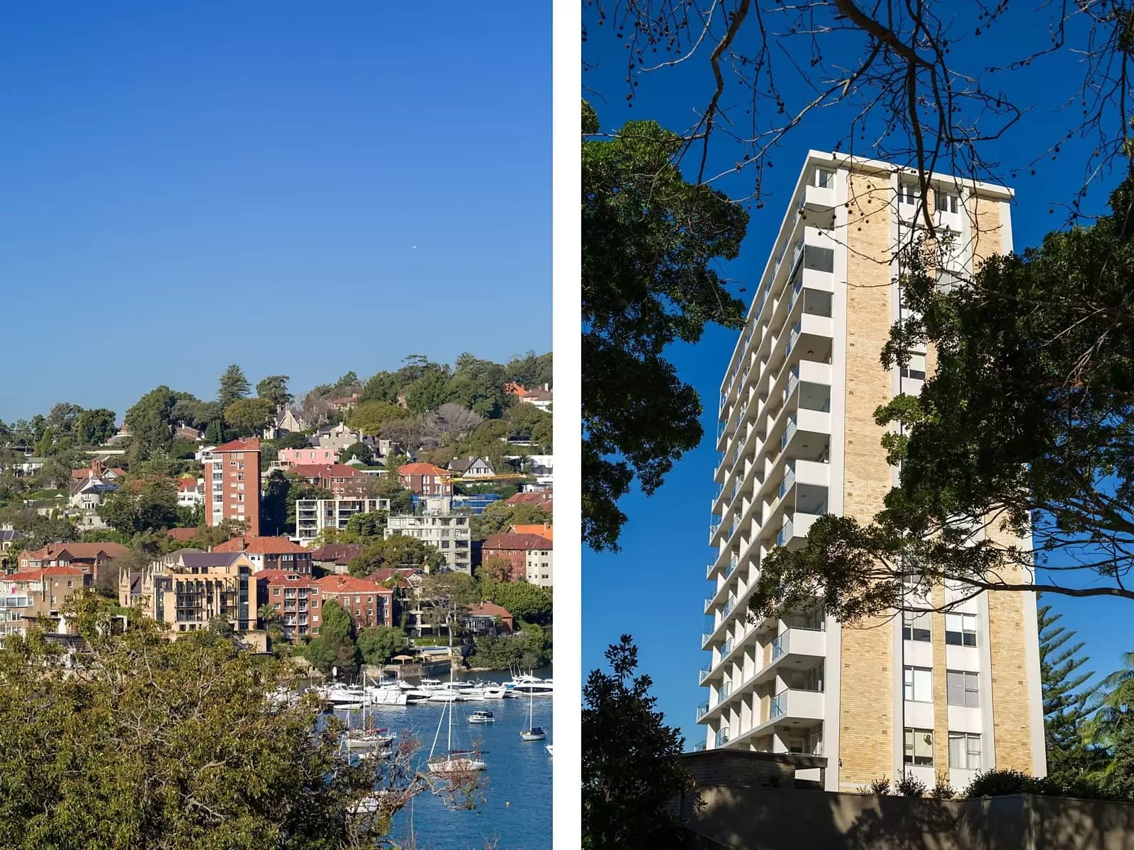 1c/26 Etham Avenue, Darling Point, Darling Point - Thumbnail 8