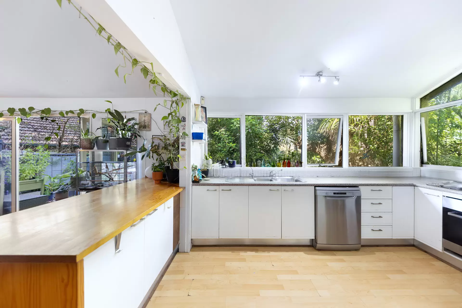 20 Strathallen Avenue, Northbridge, Northbridge - Thumbnail 4