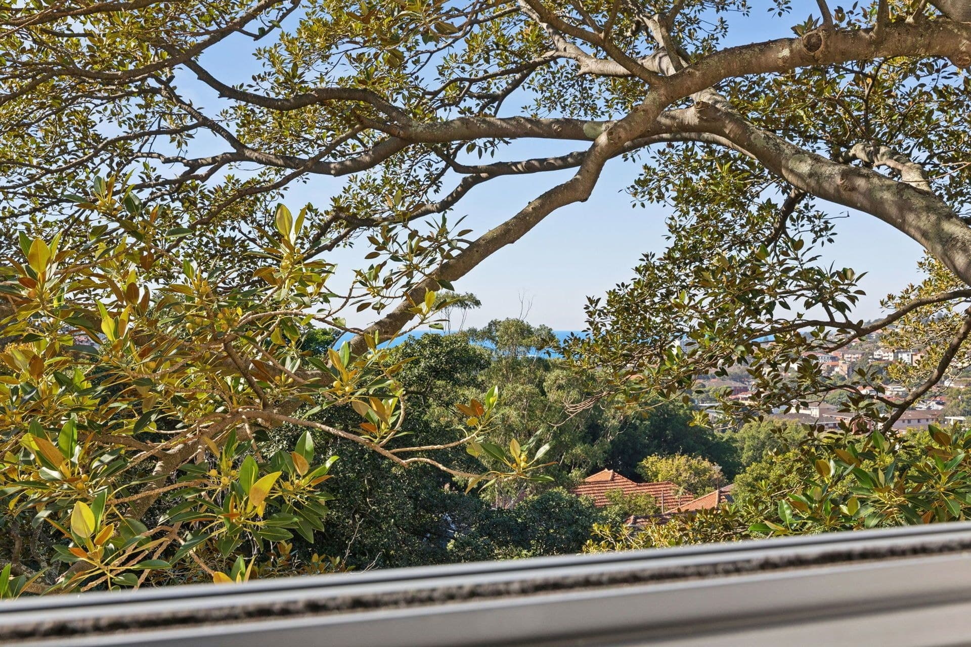 87/244-254 Alison Road, Randwick - Thumbnail 6