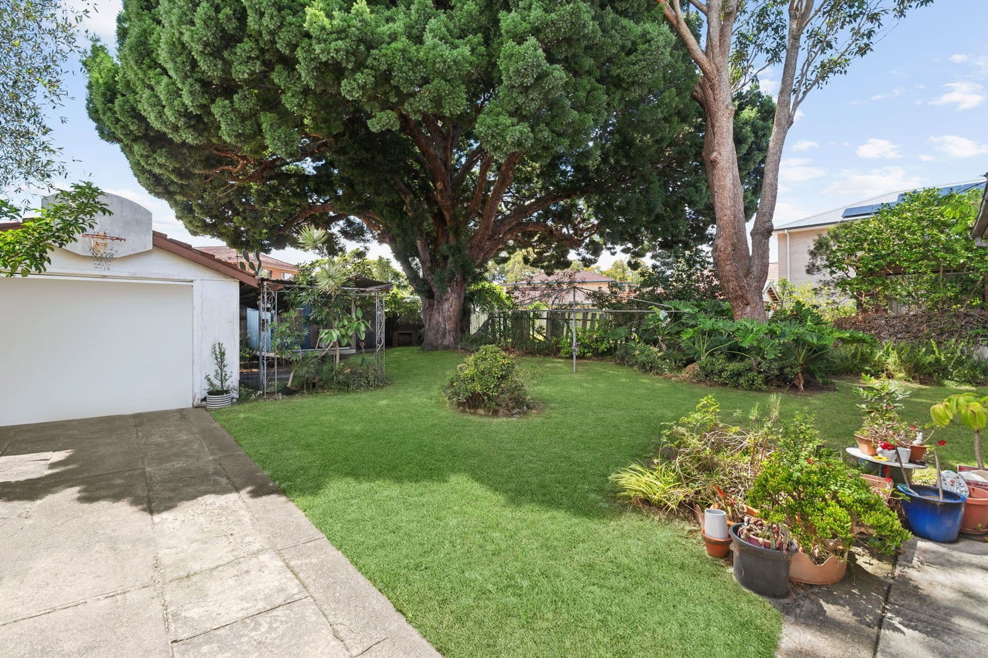 9 Birdwood Avenue, Pagewood - Thumbnail 4
