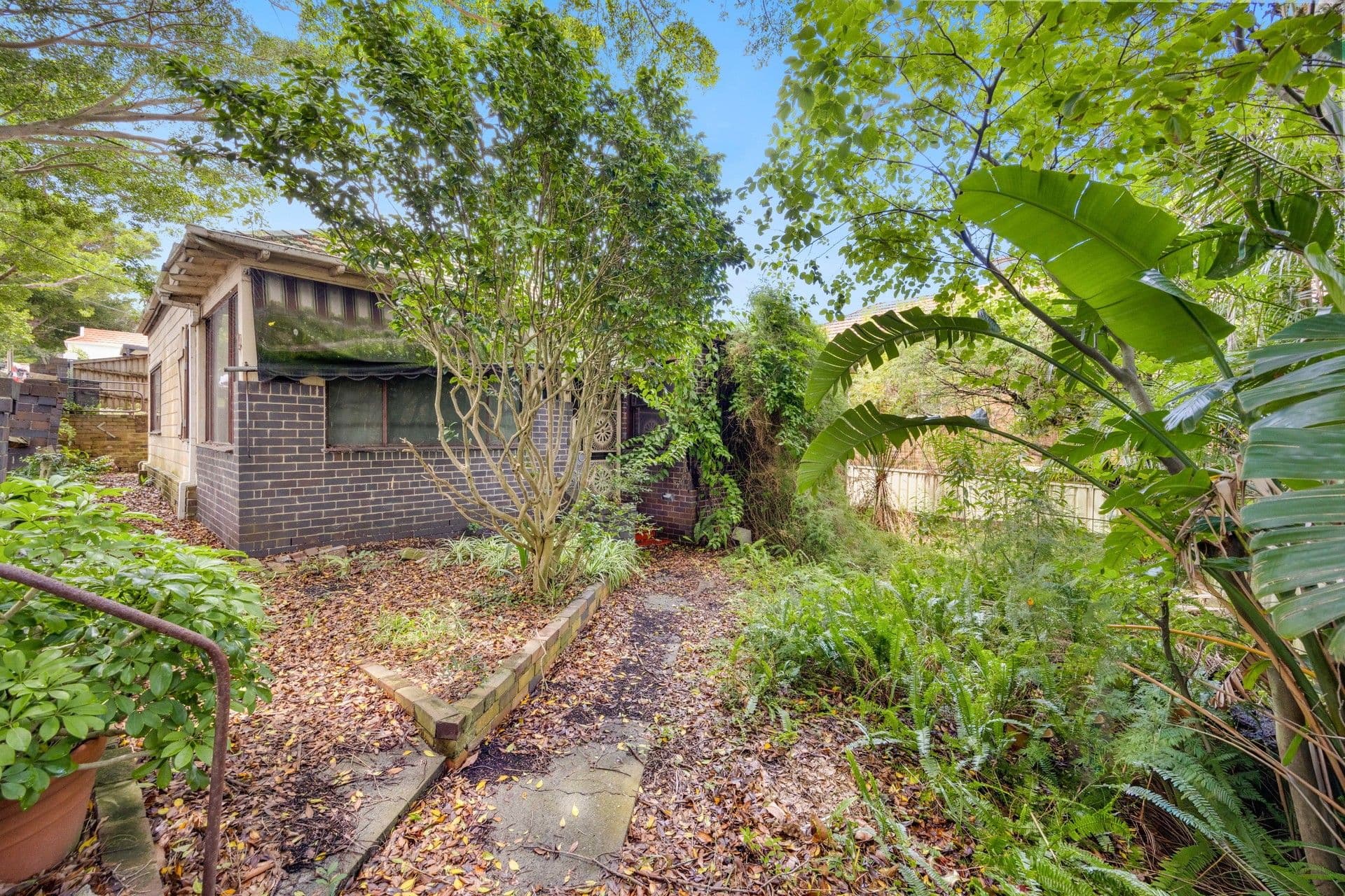 1A Athol Street, South Coogee - Thumbnail 4