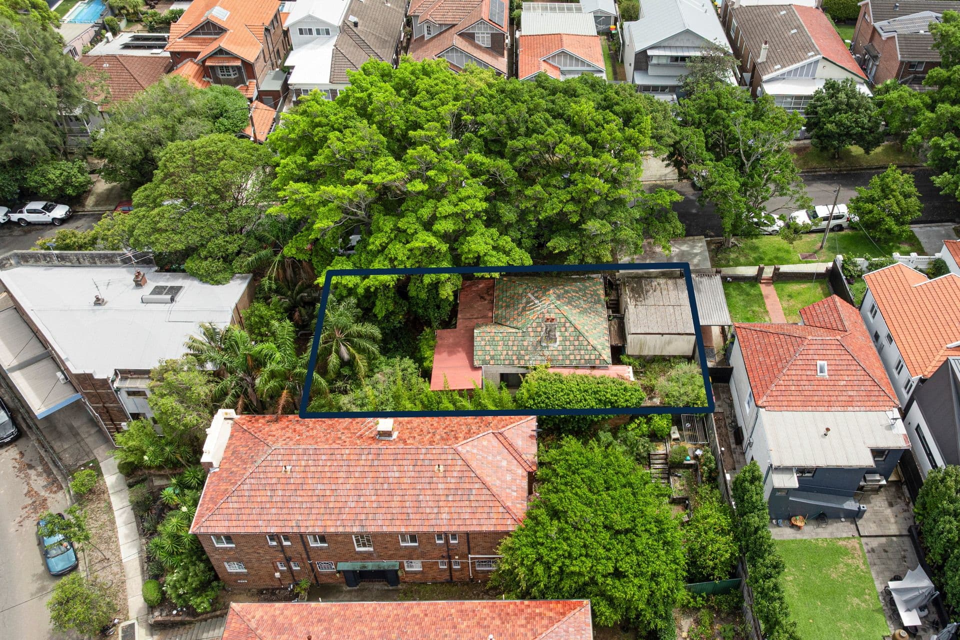 1A Athol Street, South Coogee - Thumbnail 6