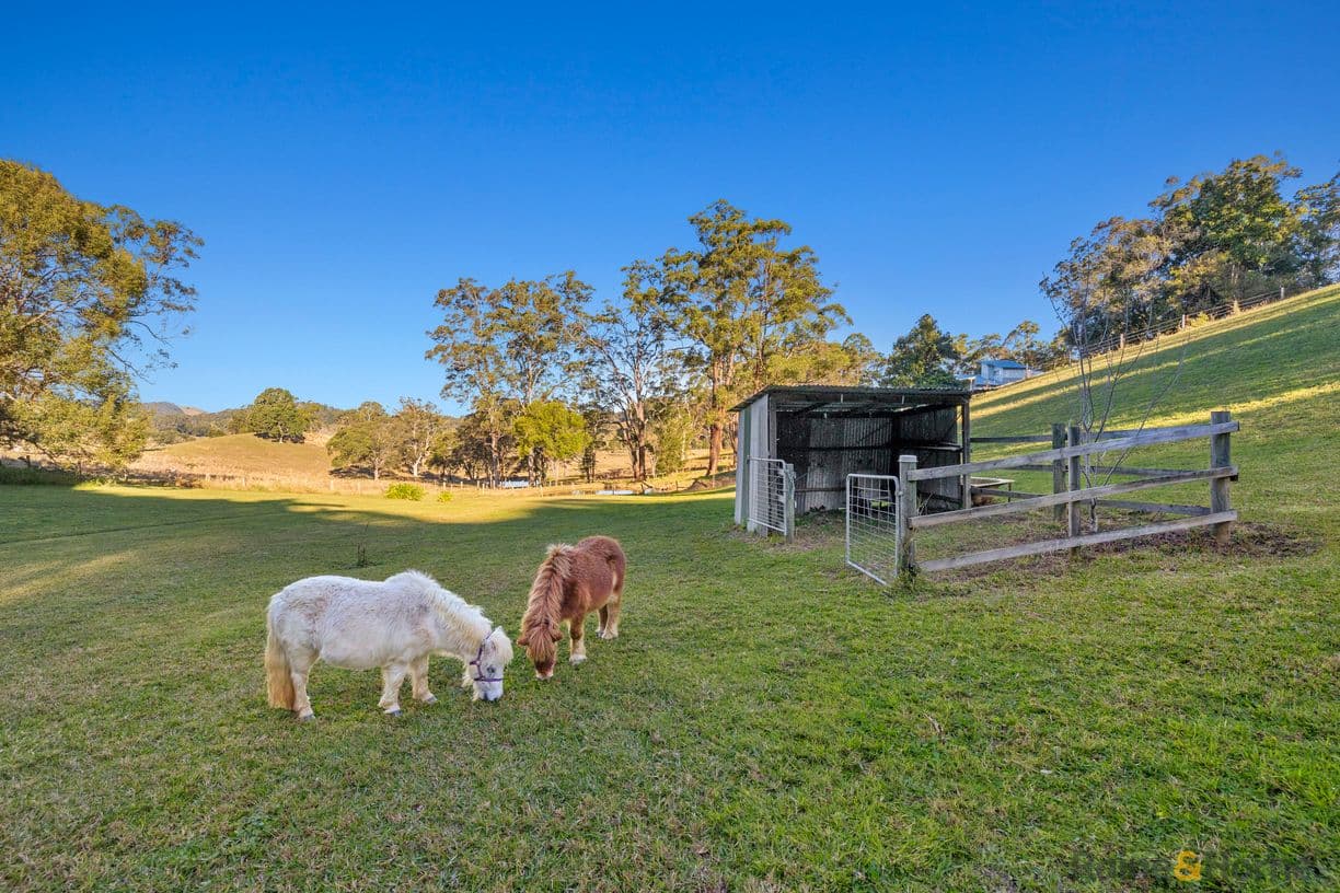 55 Wallum Court, Reserve Creek, NSW 2484, Reserve Creek - Thumbnail 2