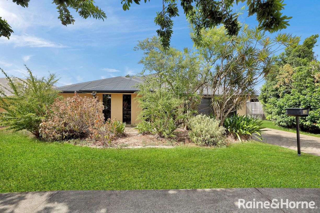 14 Ulladulla Street, Blacks Beach, QLD 4740, Blacks Beach - Thumbnail 2