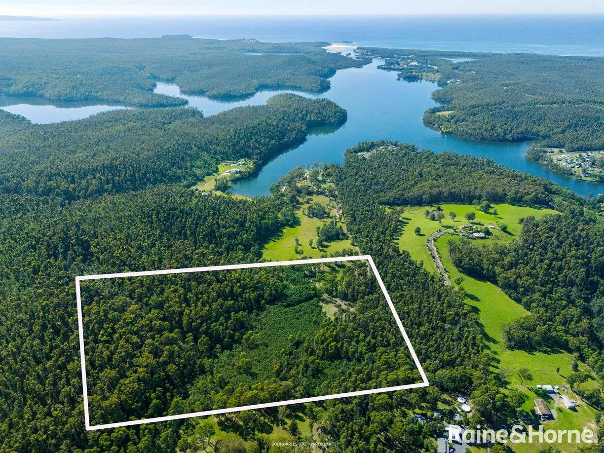 Lot 122 Egans Farm Lane, Yatte Yattah, NSW 2539, Yatte Yattah - Image 1