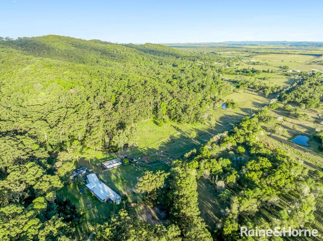 254 Toolborough Road, Yandina Creek, QLD 4561, Yandina Creek - Image 1