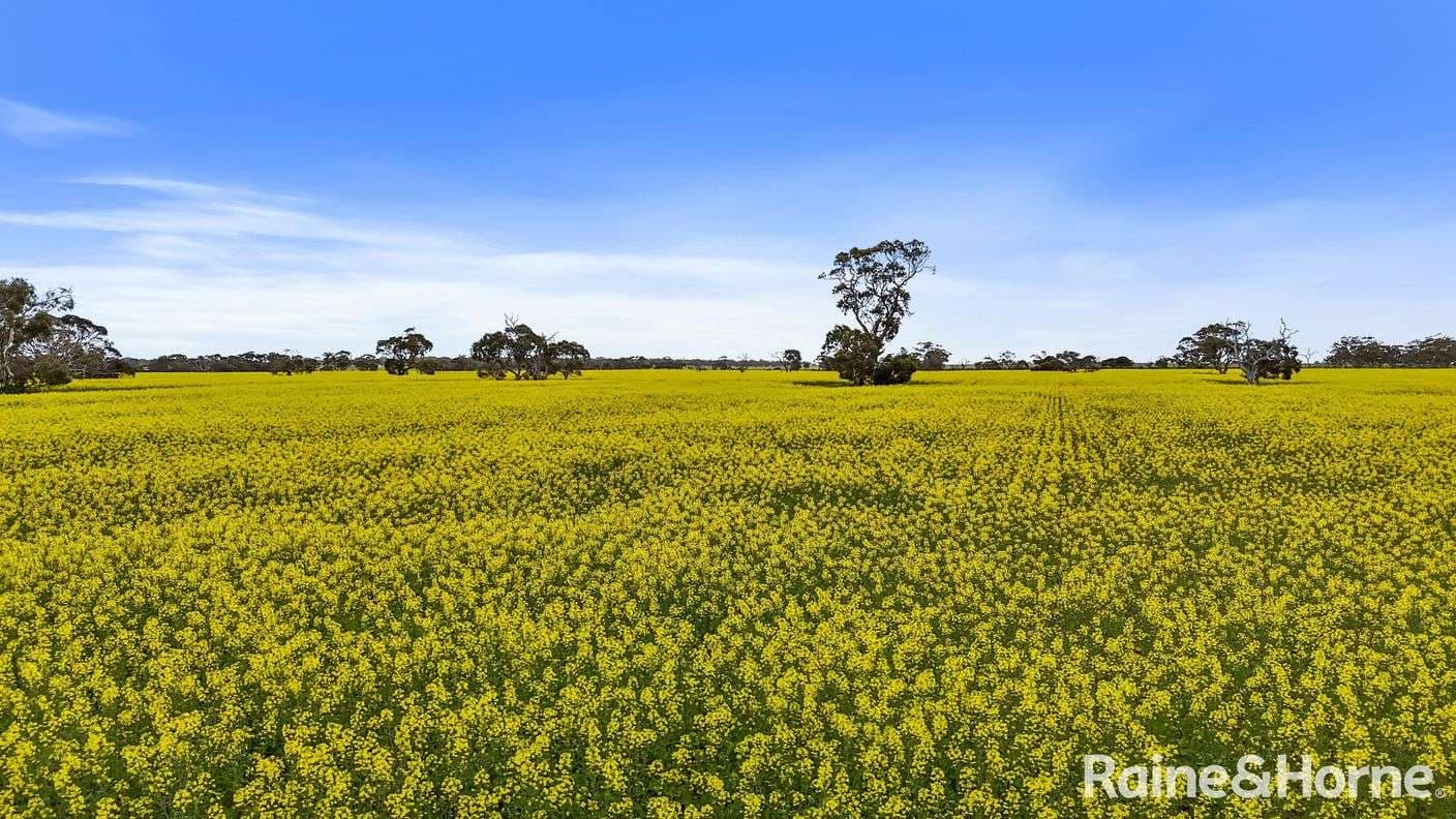 214 Kindaruar Road, Clayton Bay, SA 5256, Clayton Bay - Image 1