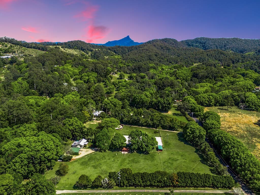 14 Adcocks Road, Stokers Siding, NSW, 2484, Stokers Siding - Image 1