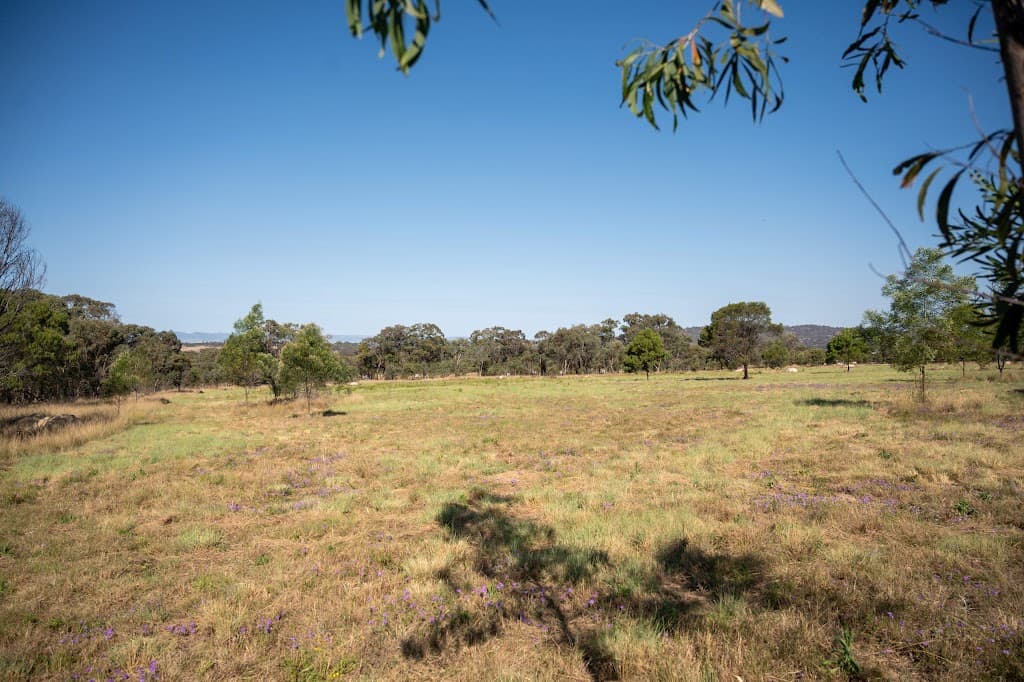 Lot 8 & 43 Edens Chase, Rosenthal Heights, QLD, 4370, Rosenthal Heights - Thumbnail 2