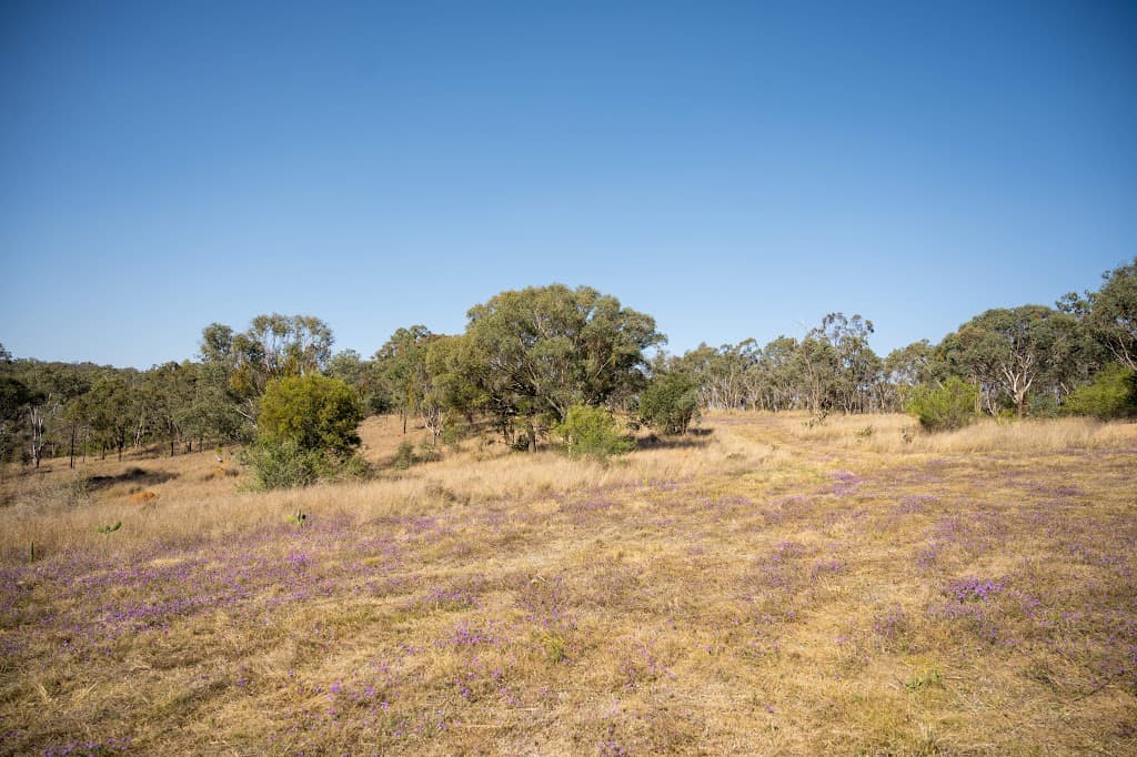 Lot 8 & 43 Edens Chase, Rosenthal Heights, QLD, 4370, Rosenthal Heights - Thumbnail 3