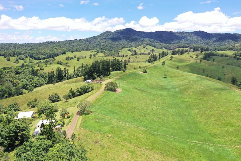 780 MIDDLEBROOK ROAD, Millaa Millaa, QLD, 4886, Middlebrook - Image 1