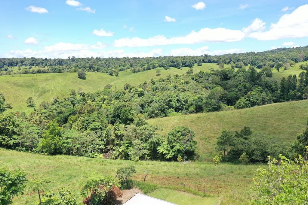 780 MIDDLEBROOK ROAD, Millaa Millaa, QLD, 4886, Middlebrook - Thumbnail 6