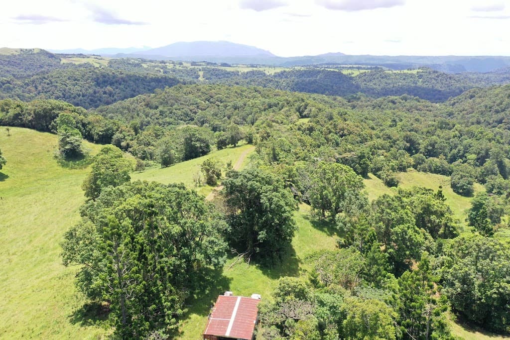 780 MIDDLEBROOK ROAD, Millaa Millaa, QLD, 4886, Middlebrook - Thumbnail 7