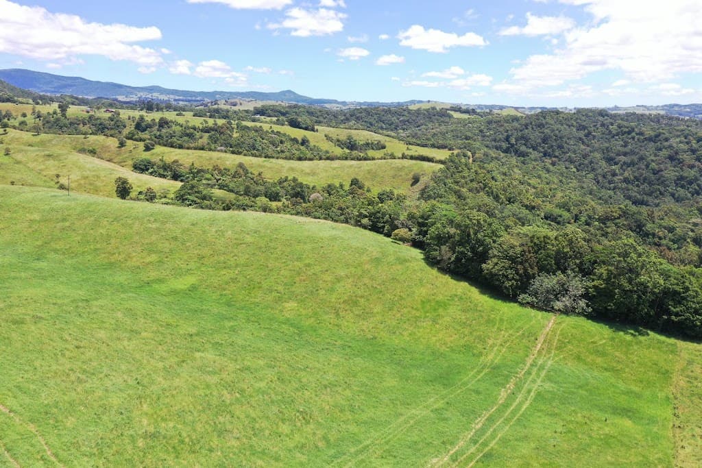 780 MIDDLEBROOK ROAD, Millaa Millaa, QLD, 4886, Middlebrook - Thumbnail 8