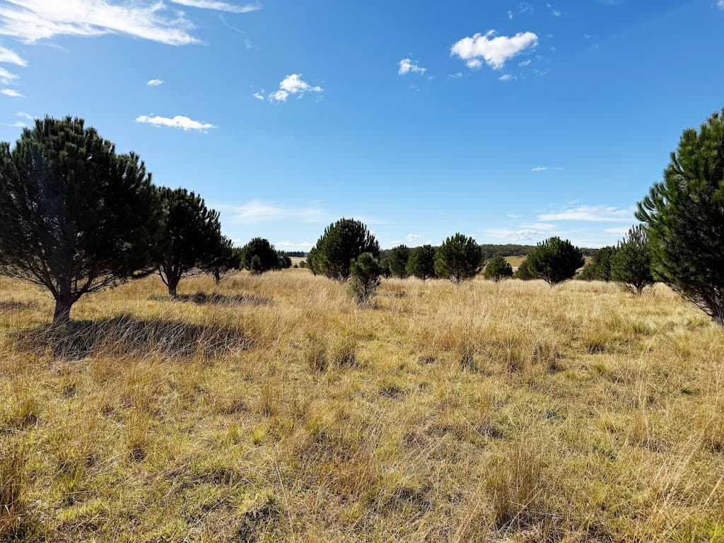 609 Jacqua Road, Windellama, NSW, 2580, Windellama - Image 1