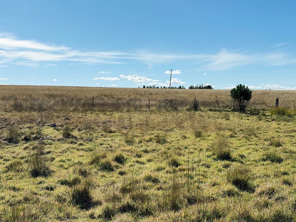 609 Jacqua Road, Windellama, NSW, 2580, Windellama - Thumbnail 5