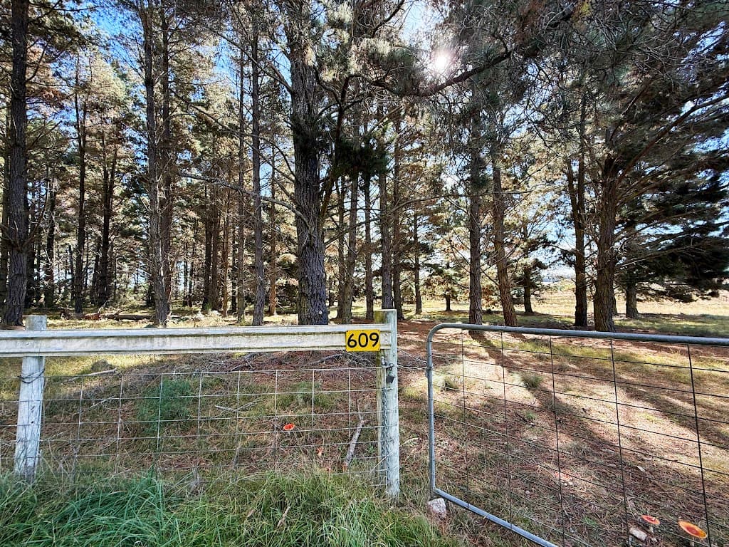 609 Jacqua Road, Windellama, NSW, 2580, Windellama - Thumbnail 6