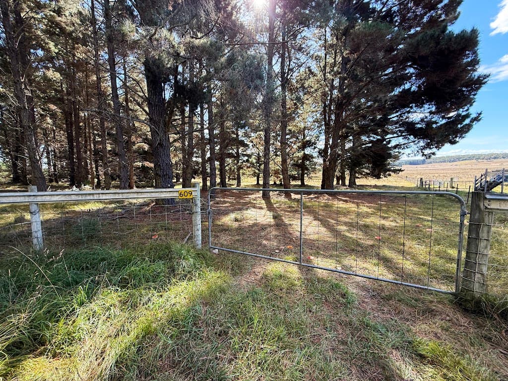 609 Jacqua Road, Windellama, NSW, 2580, Windellama - Thumbnail 7