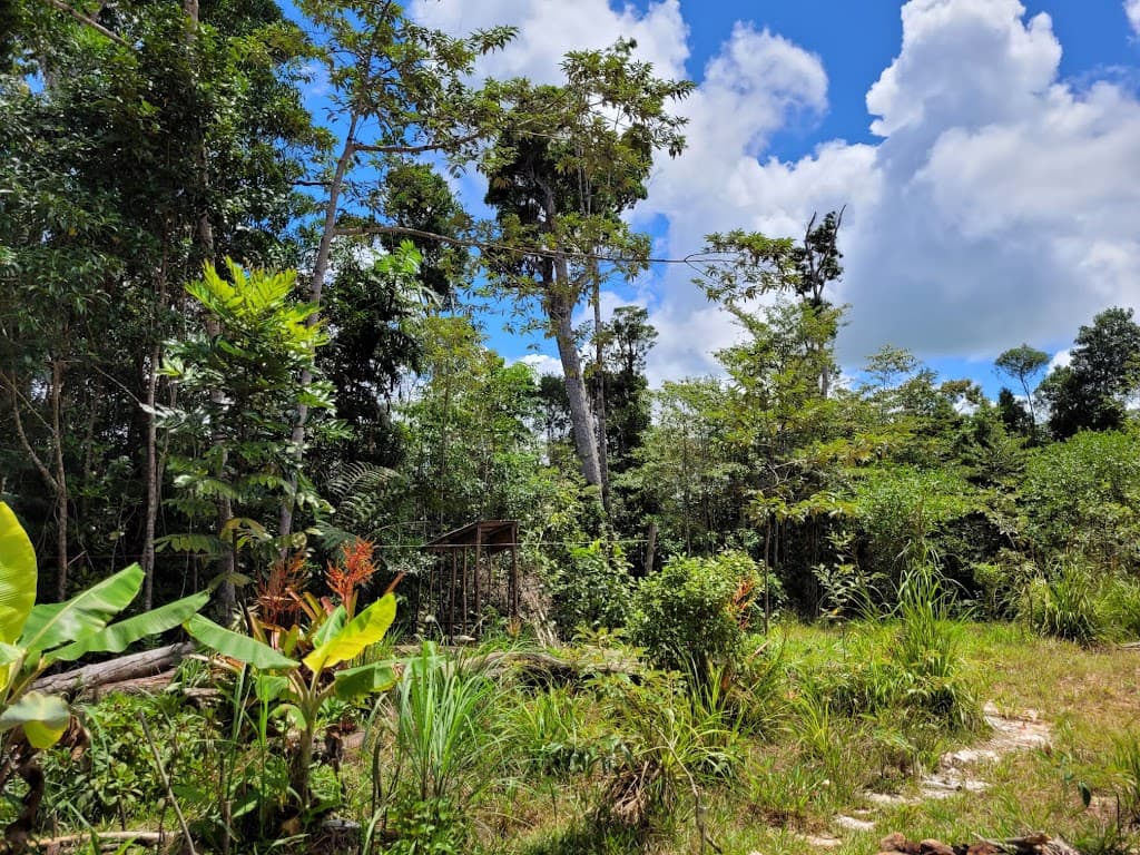 Lot 213 Kelly Road, Ellinjaa, QLD, 4886, Ellinjaa - Image 1