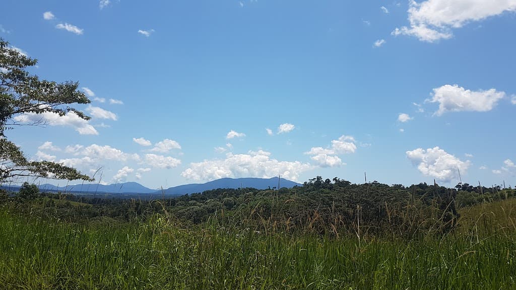 Lot 213 Kelly Road, Ellinjaa, QLD, 4886, Ellinjaa - Thumbnail 4