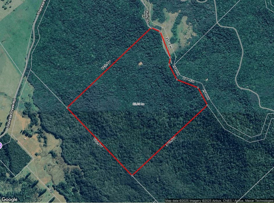 Lot 213 Kelly Road, Ellinjaa, QLD, 4886, Ellinjaa - Thumbnail 5
