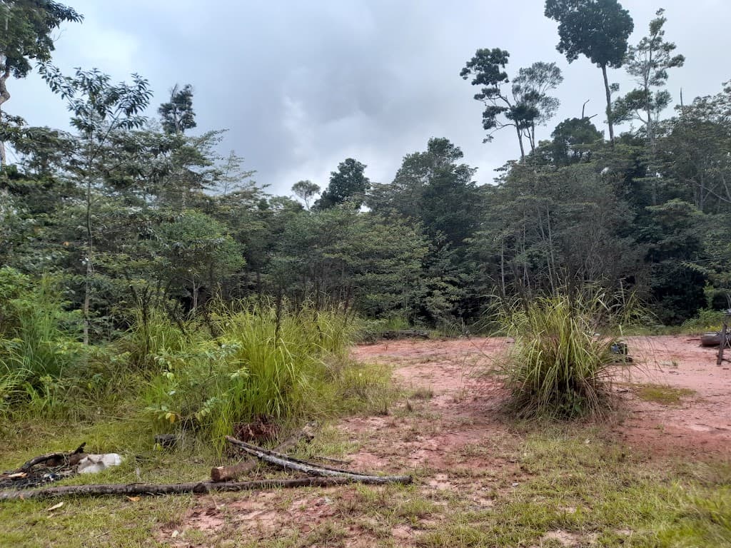 Lot 213 Kelly Road, Ellinjaa, QLD, 4886, Ellinjaa - Thumbnail 8