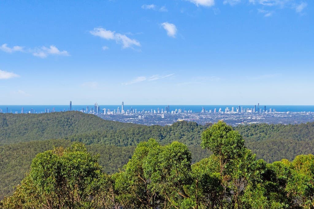 49 Macrozamia Drive, Clagiraba, QLD, 4211, Clagiraba - Thumbnail 3