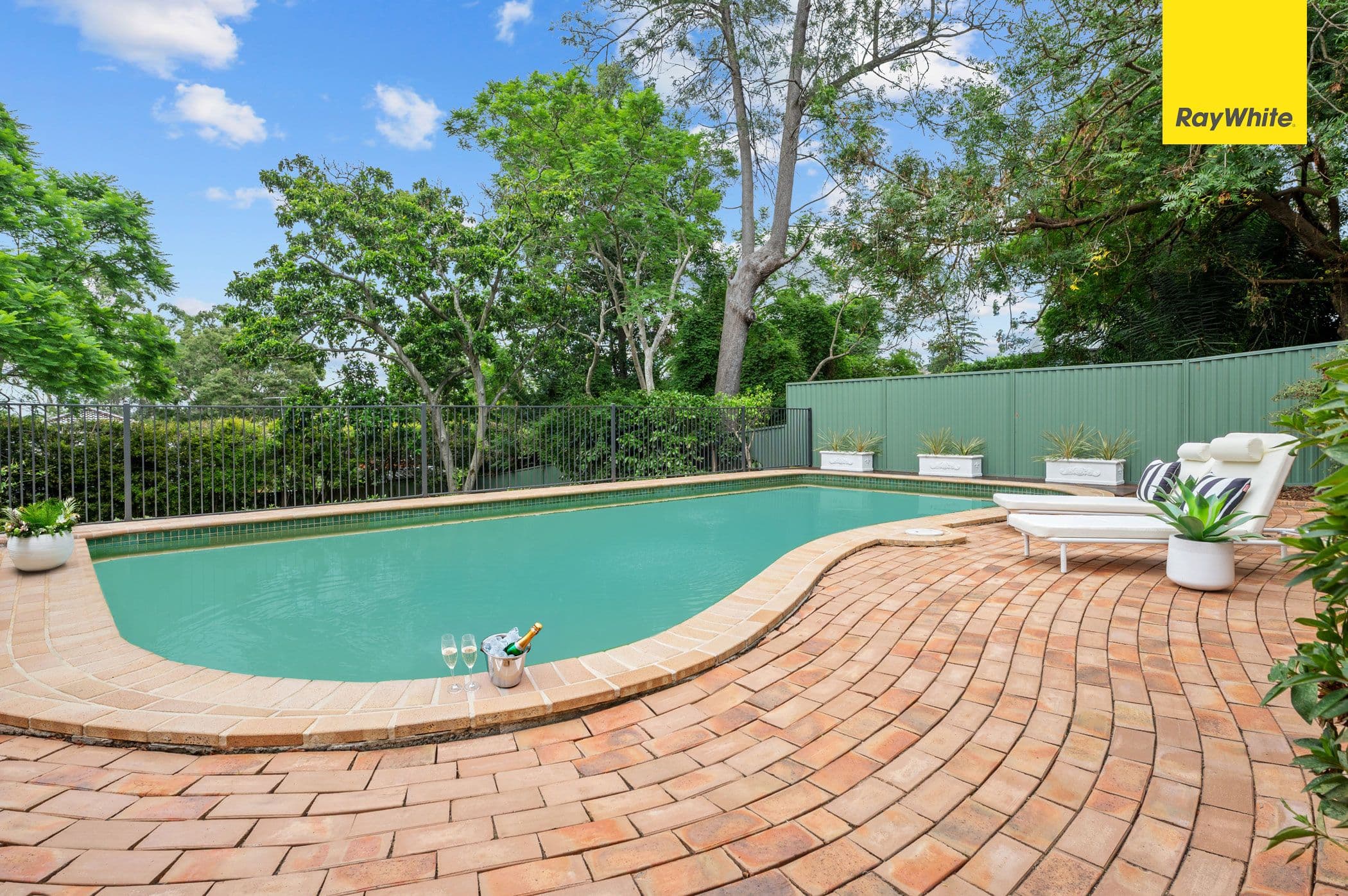 51 Epping Avenue, Eastwood NSW 2122, Eastwood - Thumbnail 7