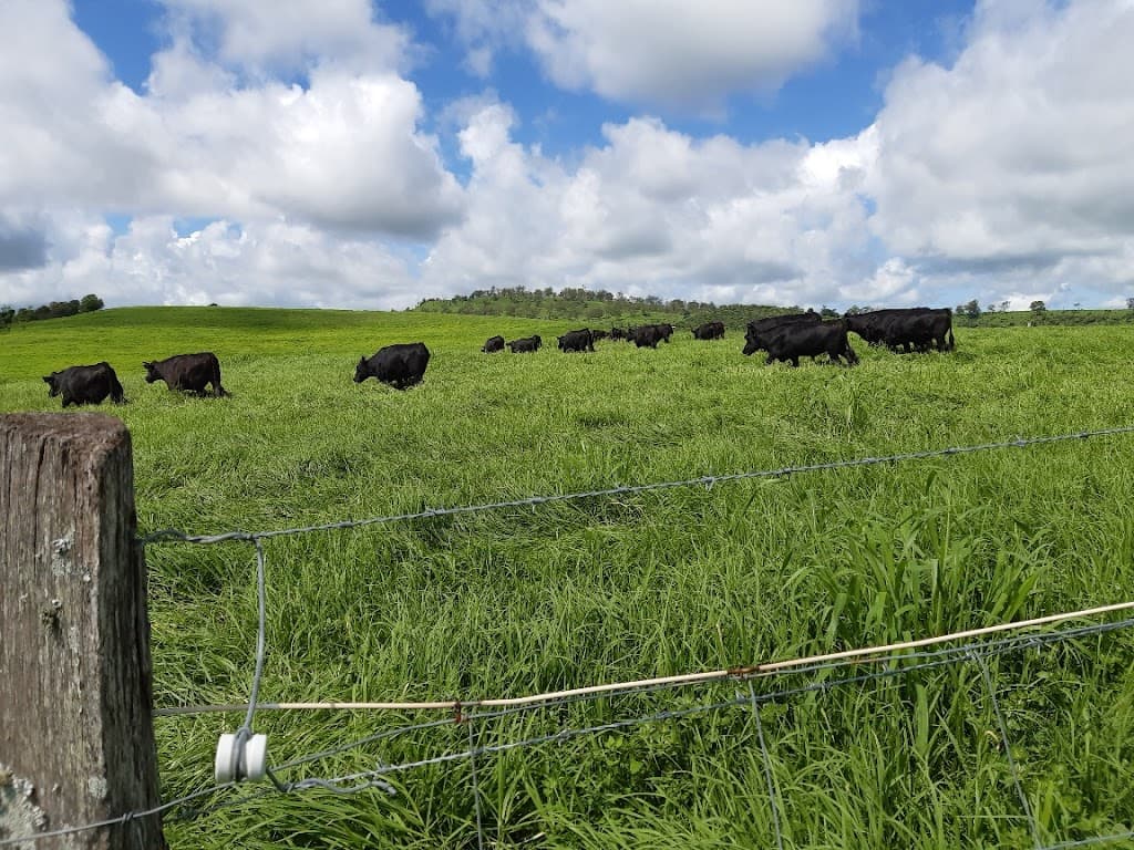 59 Thornville Range Road, Thornville, QLD, 4352, Thornville - Thumbnail 2