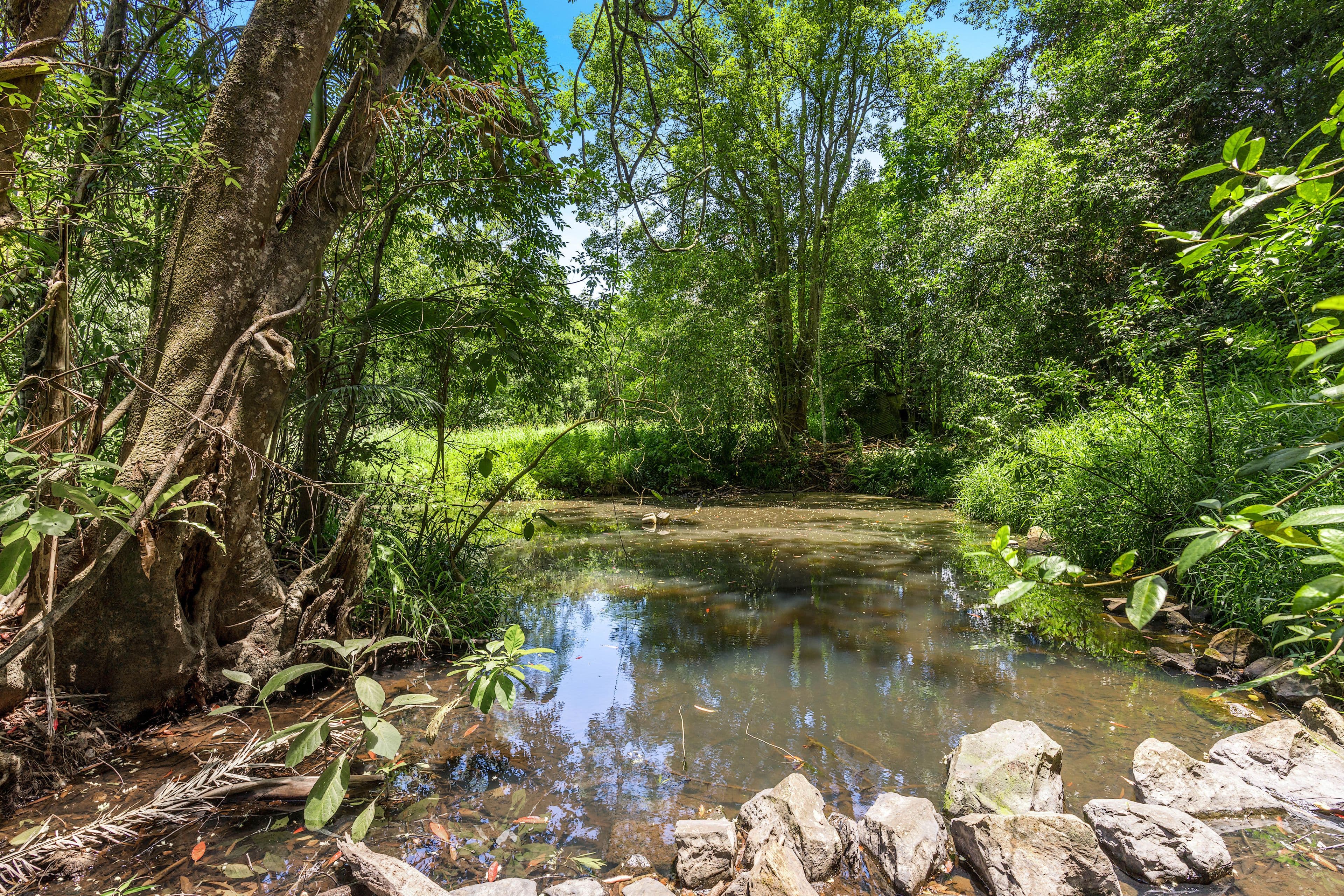 40 Macadamia Lane, Federal NSW 2480, Federal - Thumbnail 5