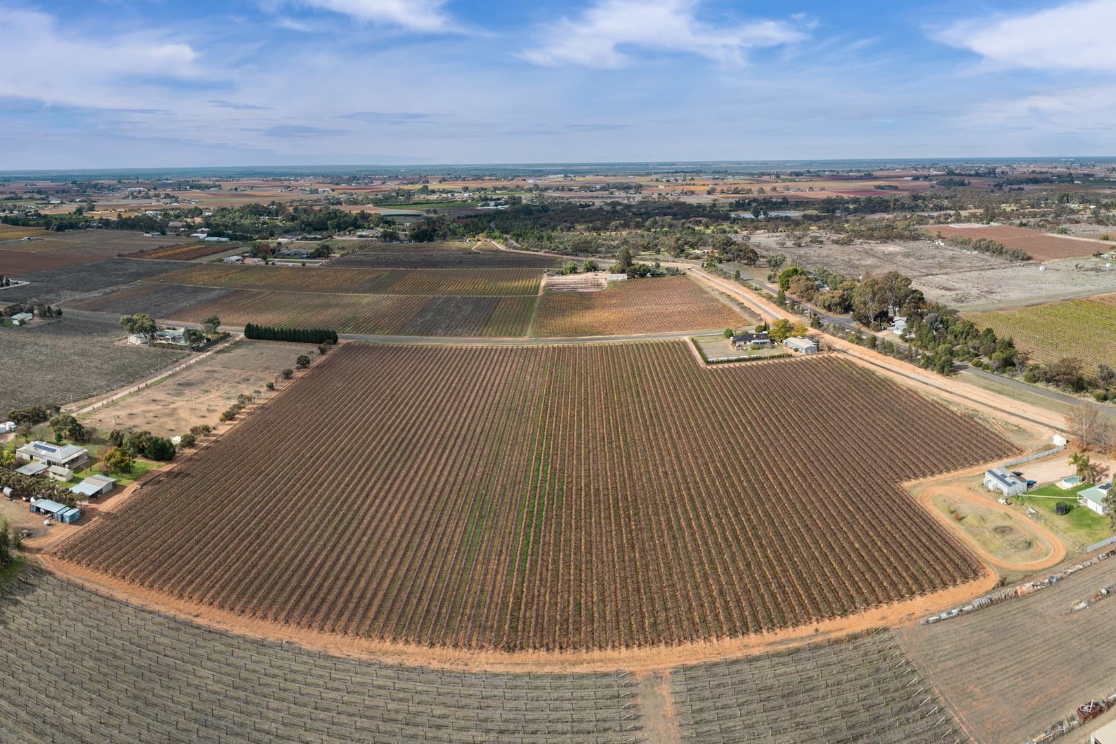 Lot 1 Euston Avenue, Irymple, VIC 3498, Irymple - Thumbnail 2