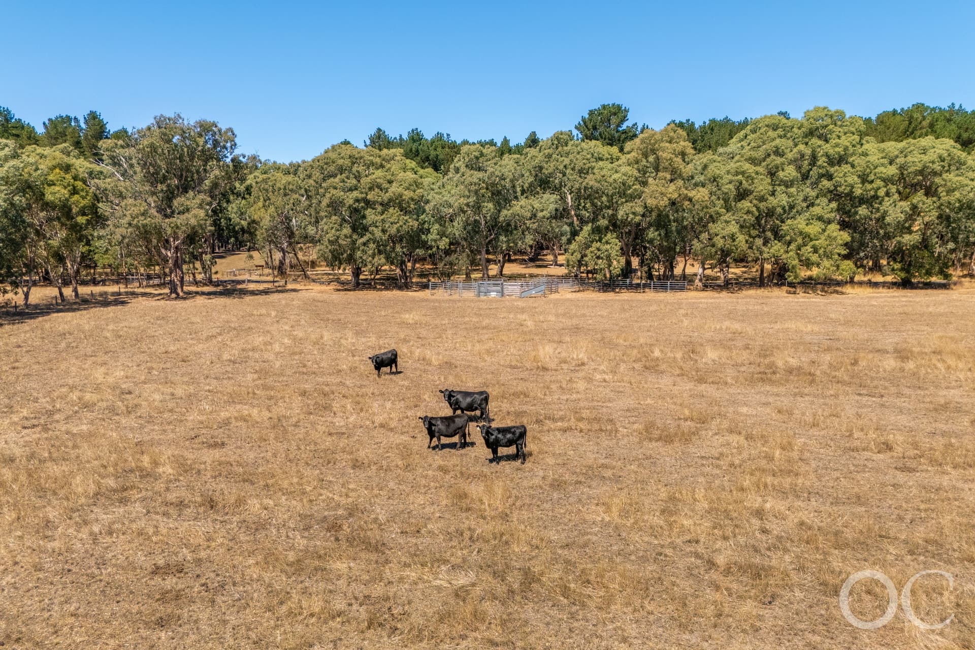 908 Brookman Road, Kuitpo - Thumbnail 5