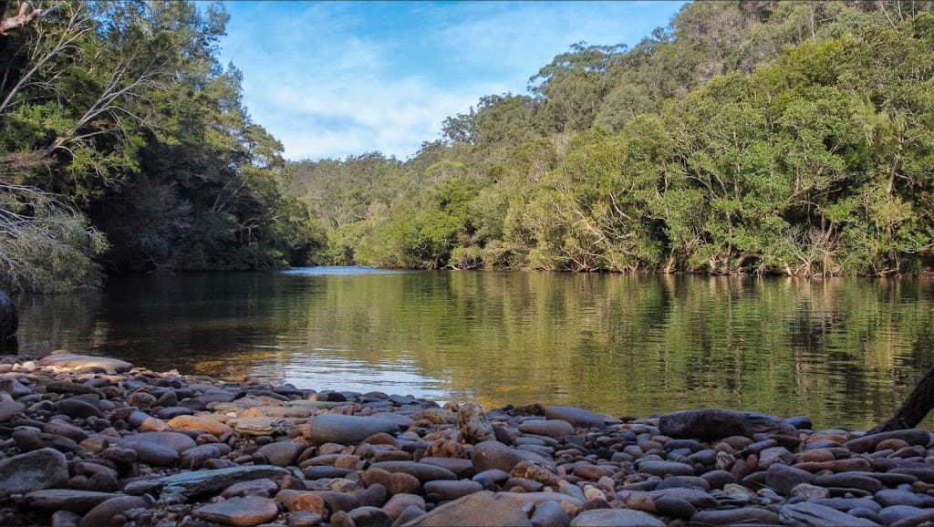 1810 The River Road, Brooman, NSW, 2538, Brooman - Thumbnail 4