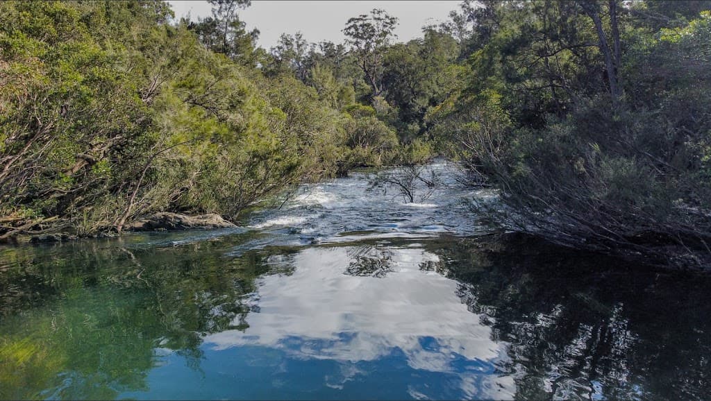1810 The River Road, Brooman, NSW, 2538, Brooman - Thumbnail 5