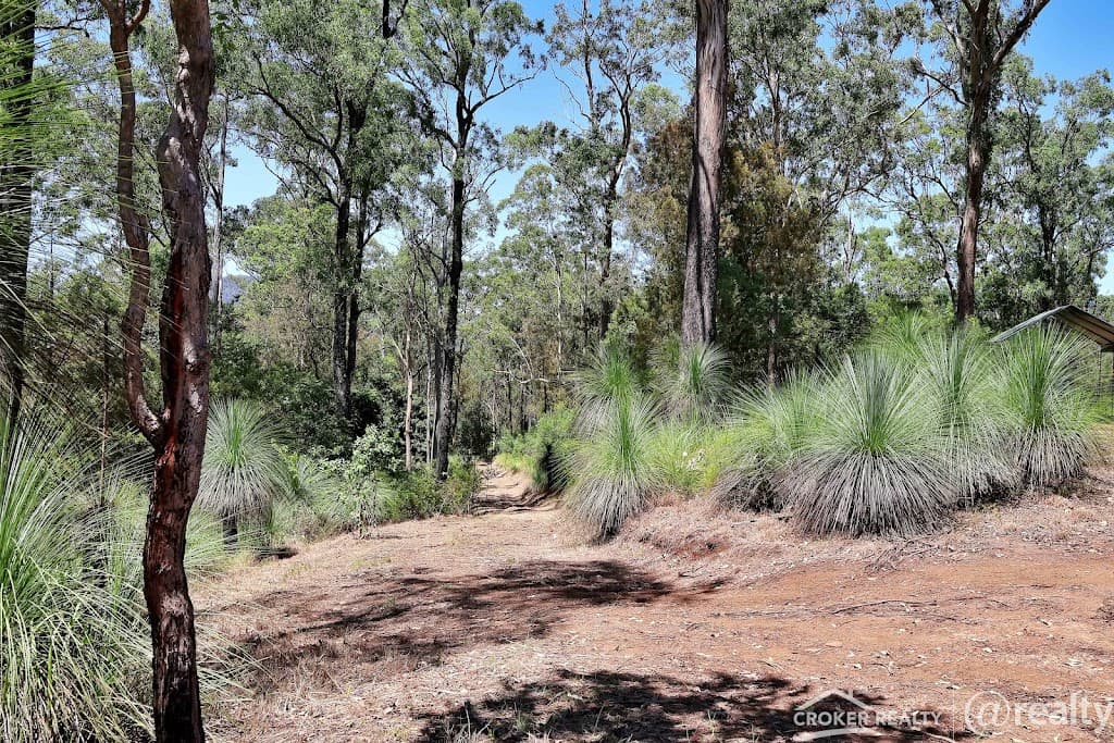25 Dingo Gully Road, Grevillia, NSW, 2474, Grevillia - Thumbnail 4