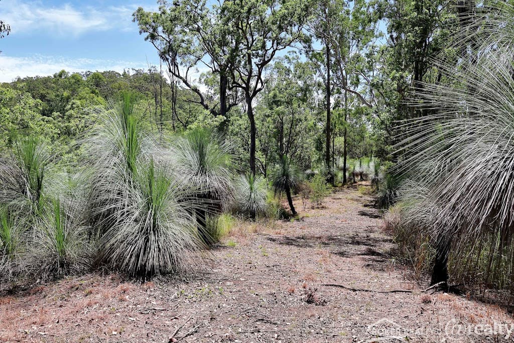 25 Dingo Gully Road, Grevillia, NSW, 2474, Grevillia - Thumbnail 5