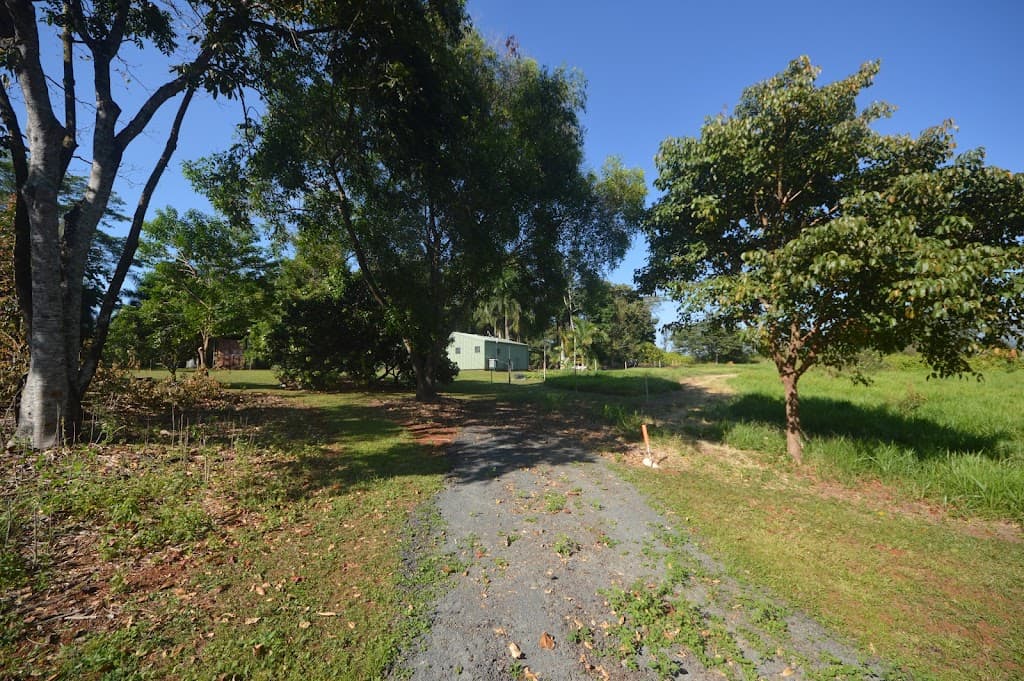 144 Donkin Road, Utchee Creek, QLD, 4871, Benowa - Thumbnail 8