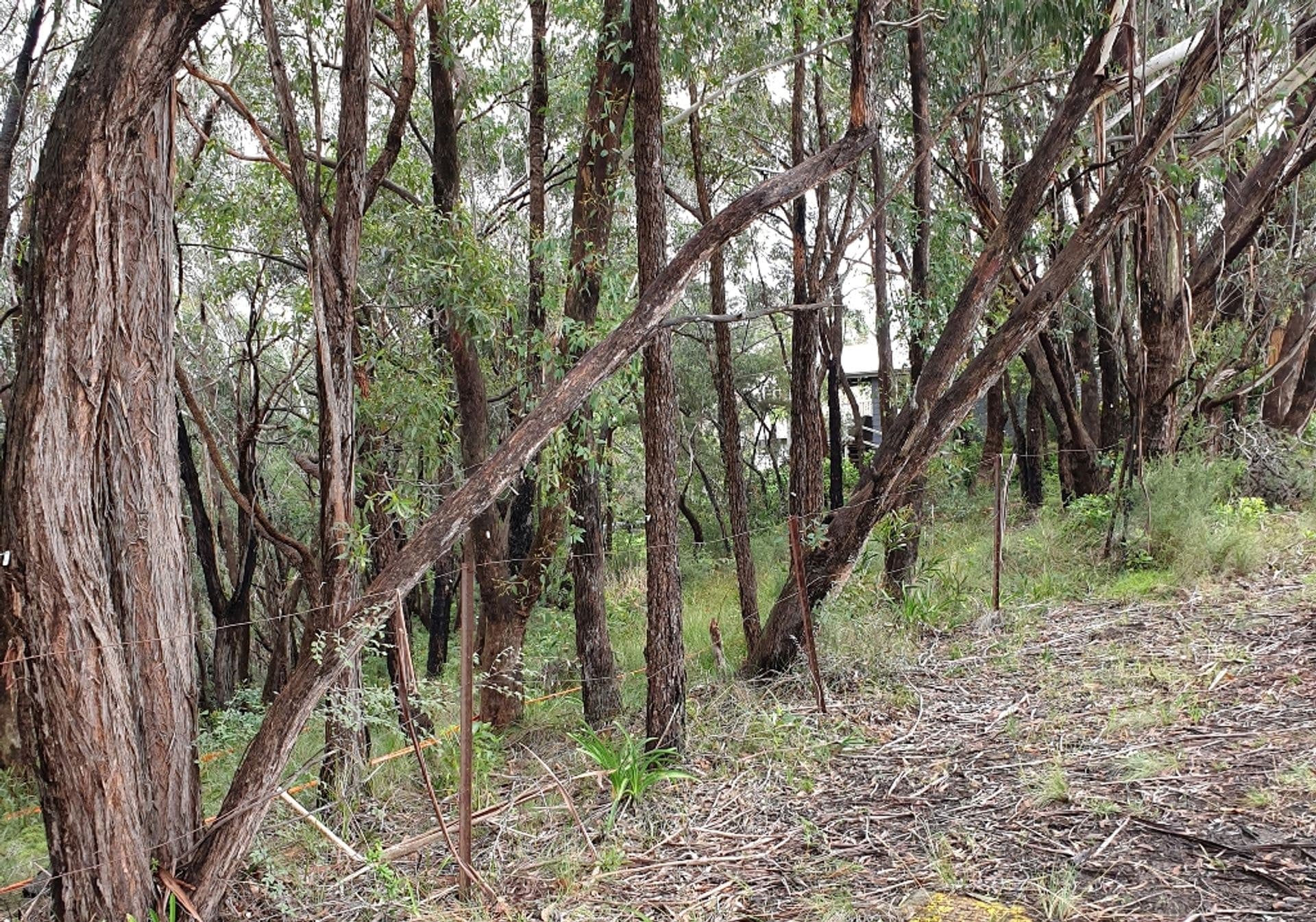 Shop 23, The Village, 192 Great Western Highway, Hazelbrook, NSW, 2779, Bullaburra - Image 1