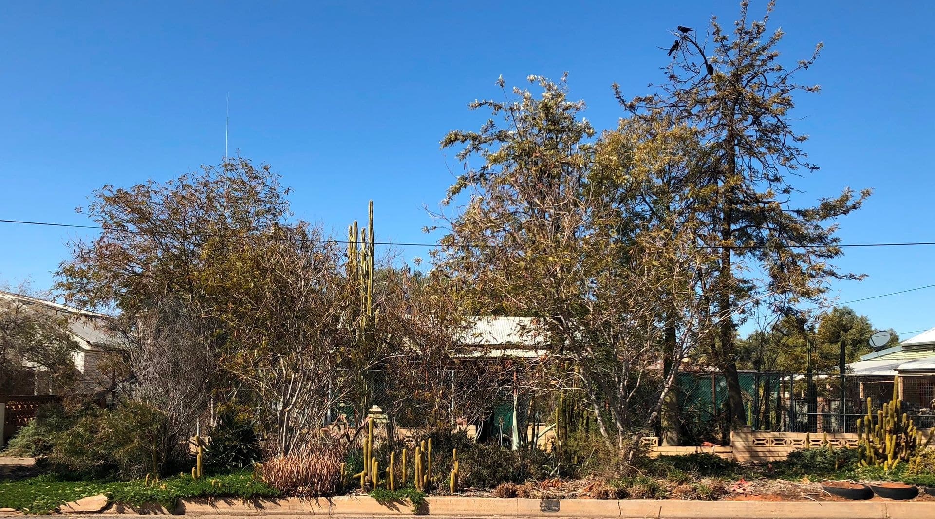 355 Argent Street, Broken Hill, NSW, 2880, Broken Hill - Thumbnail 2
