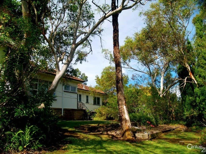 8 Wattle Street, Asquith, NSW, 2077, Mount Colah - Thumbnail 2