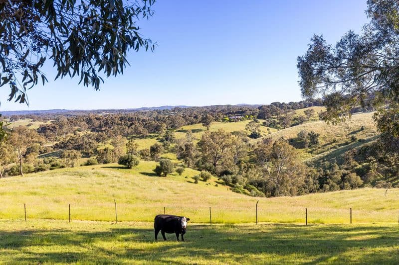198 Range Road North, Upper Hermitage - Thumbnail 3