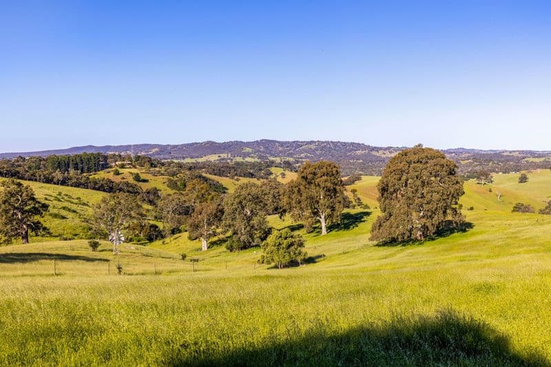 198 Range Road North, Upper Hermitage - Thumbnail 4