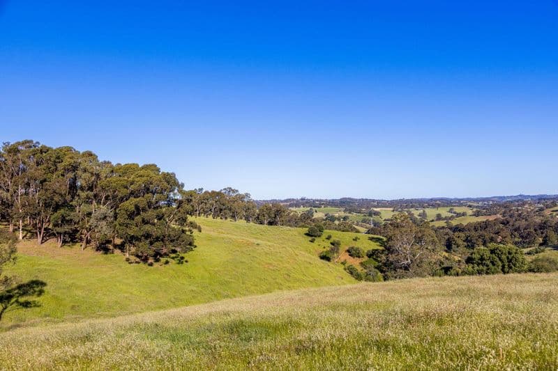 198 Range Road North, Upper Hermitage - Thumbnail 5