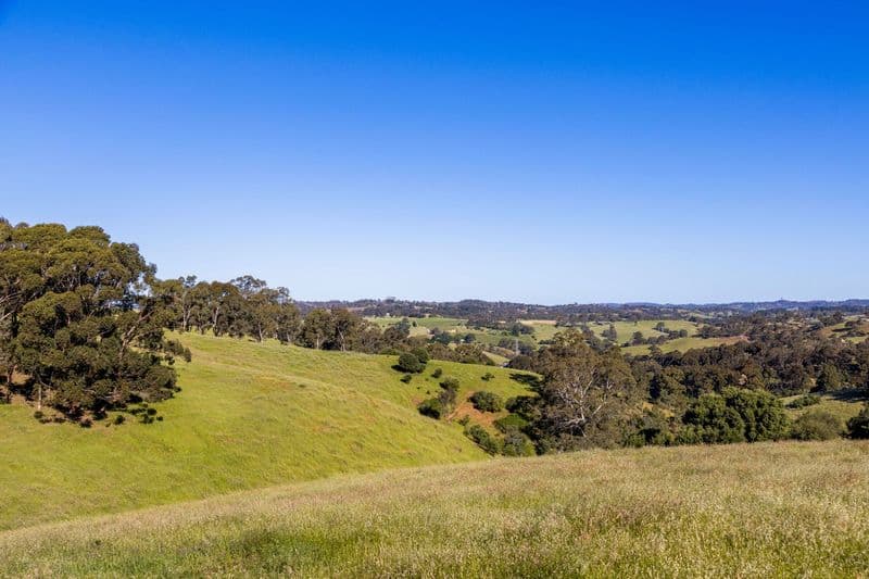 198 Range Road North, Upper Hermitage - Thumbnail 7