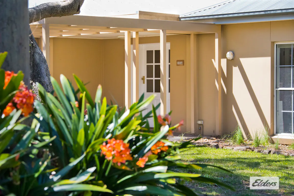 114 North Curramore Road, Jamberoo, NSW, 2533, Curramore - Thumbnail 5