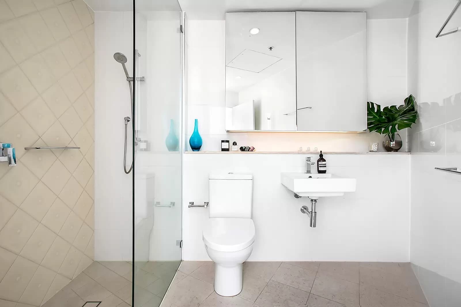 305/18 Bayswater Road, Potts Point, Potts Point - Thumbnail 6