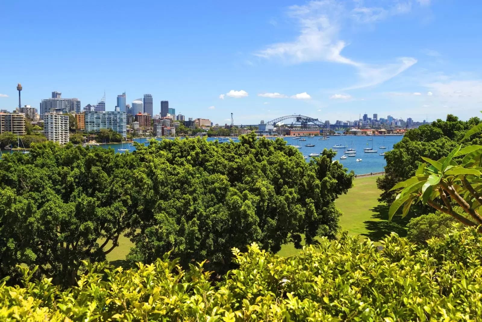 23 Yarranabbe Road, Darling Point, Darling Point - Thumbnail 7